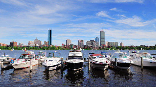 Boats In Front Of A City Skyline